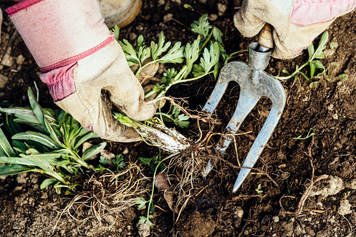 Person using garden tool