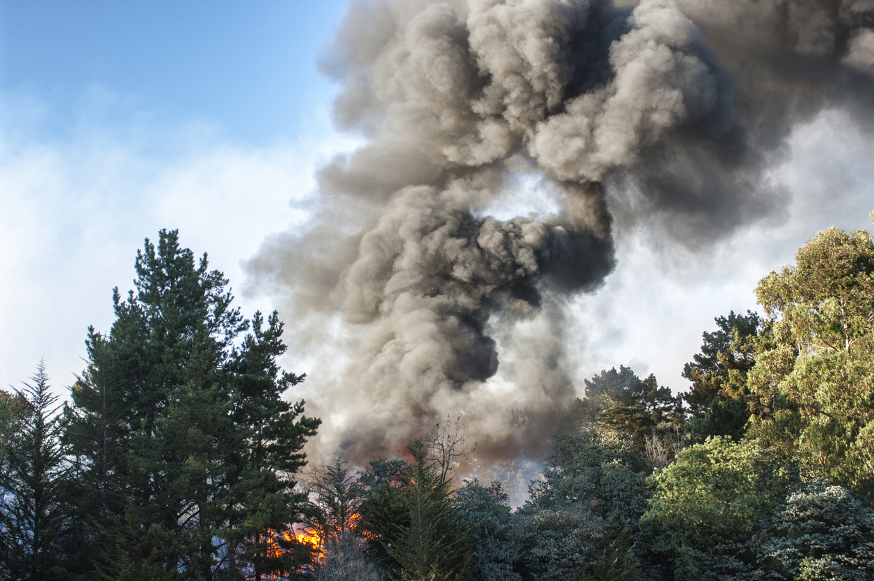 Wildfire smoke billowing from a California forest