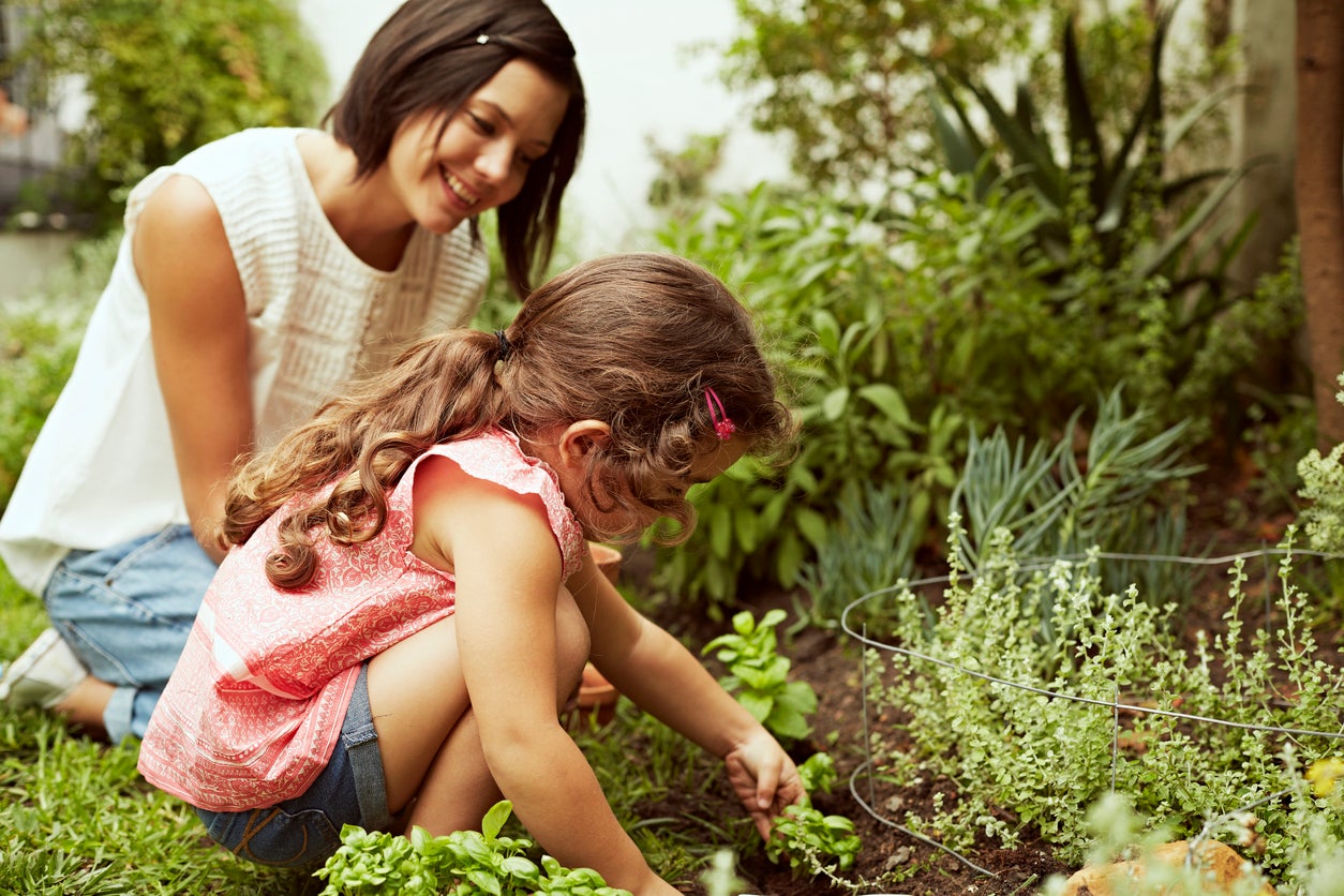 10 In-Season Gardening Chores You Should Be Doing Every Week