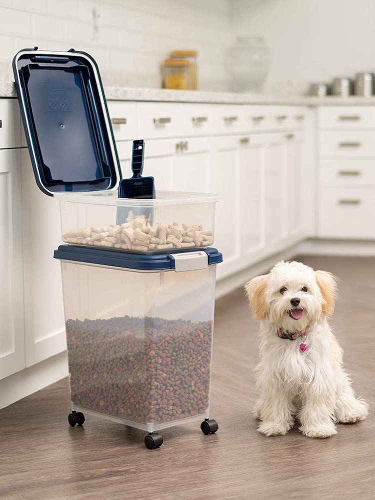 15 Things Every Pet Owner Needs for a Clean House