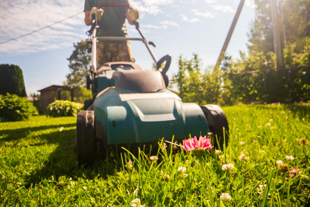 How to Become a Landscaper