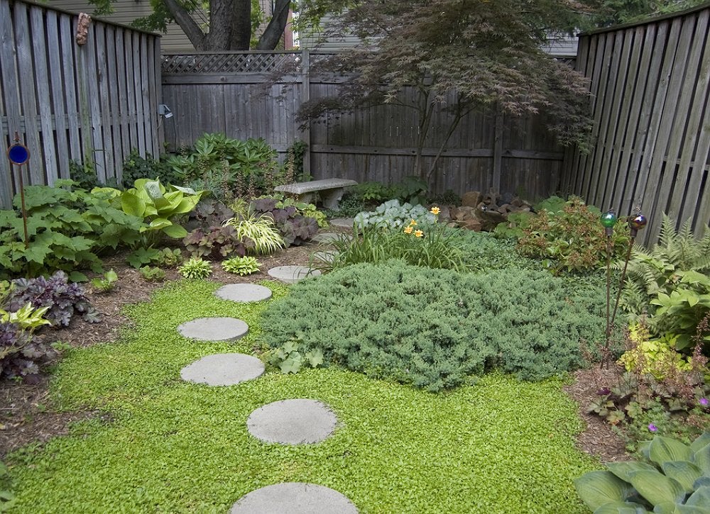 9 Lessons Learned from Tiny Backyards