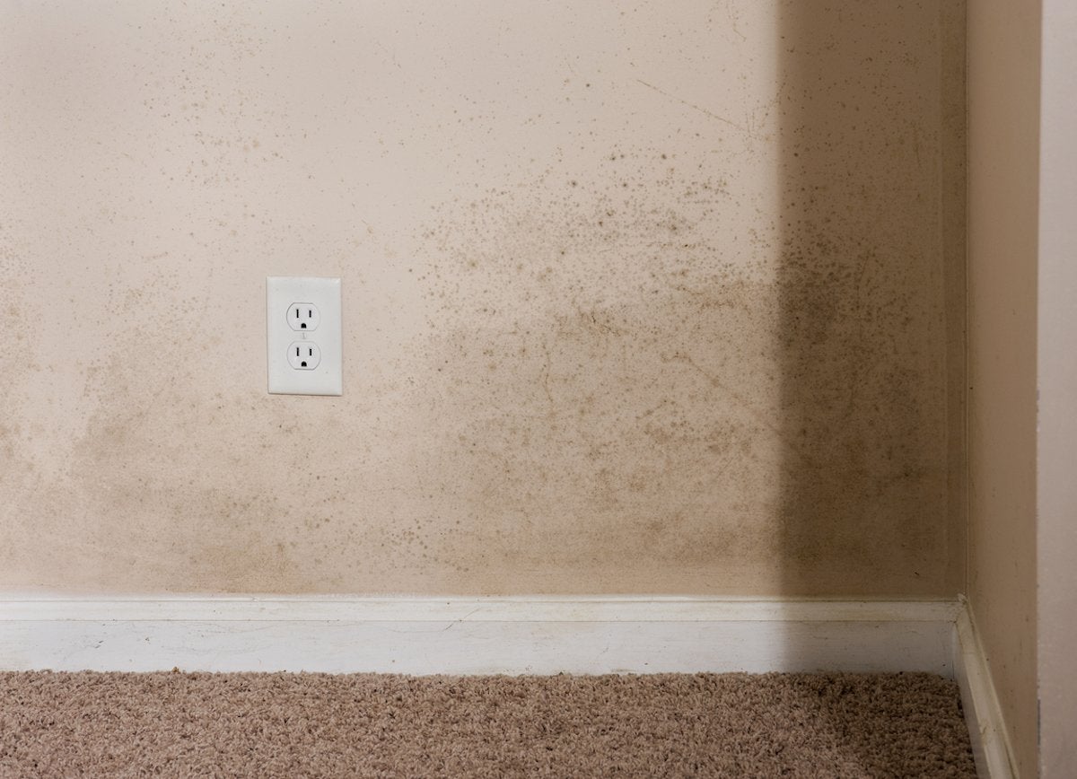 7 Health Hazards Lurking in Your Basement