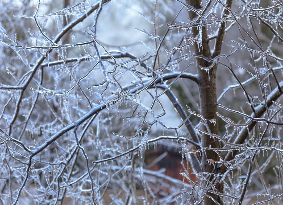 15 Ways Winter Weather Damages Your Home