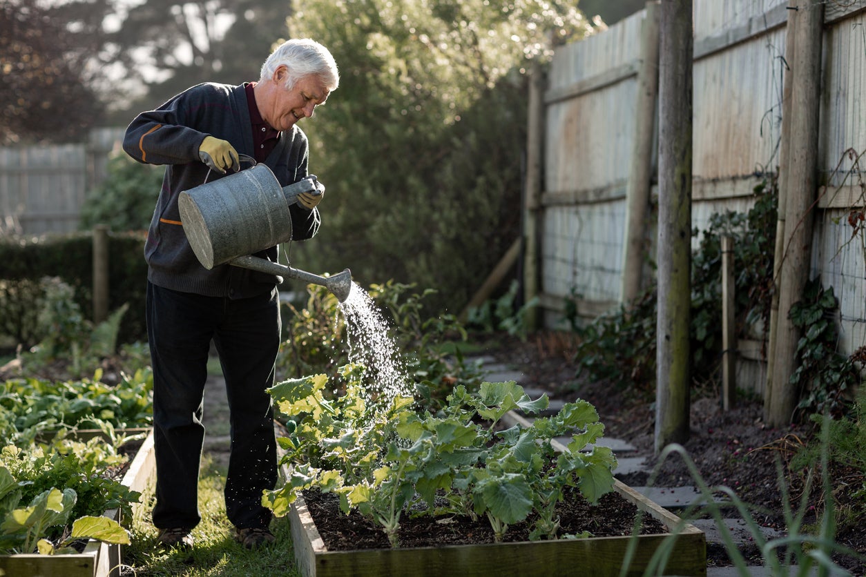 10 In-Season Gardening Chores You Should Be Doing Every Week