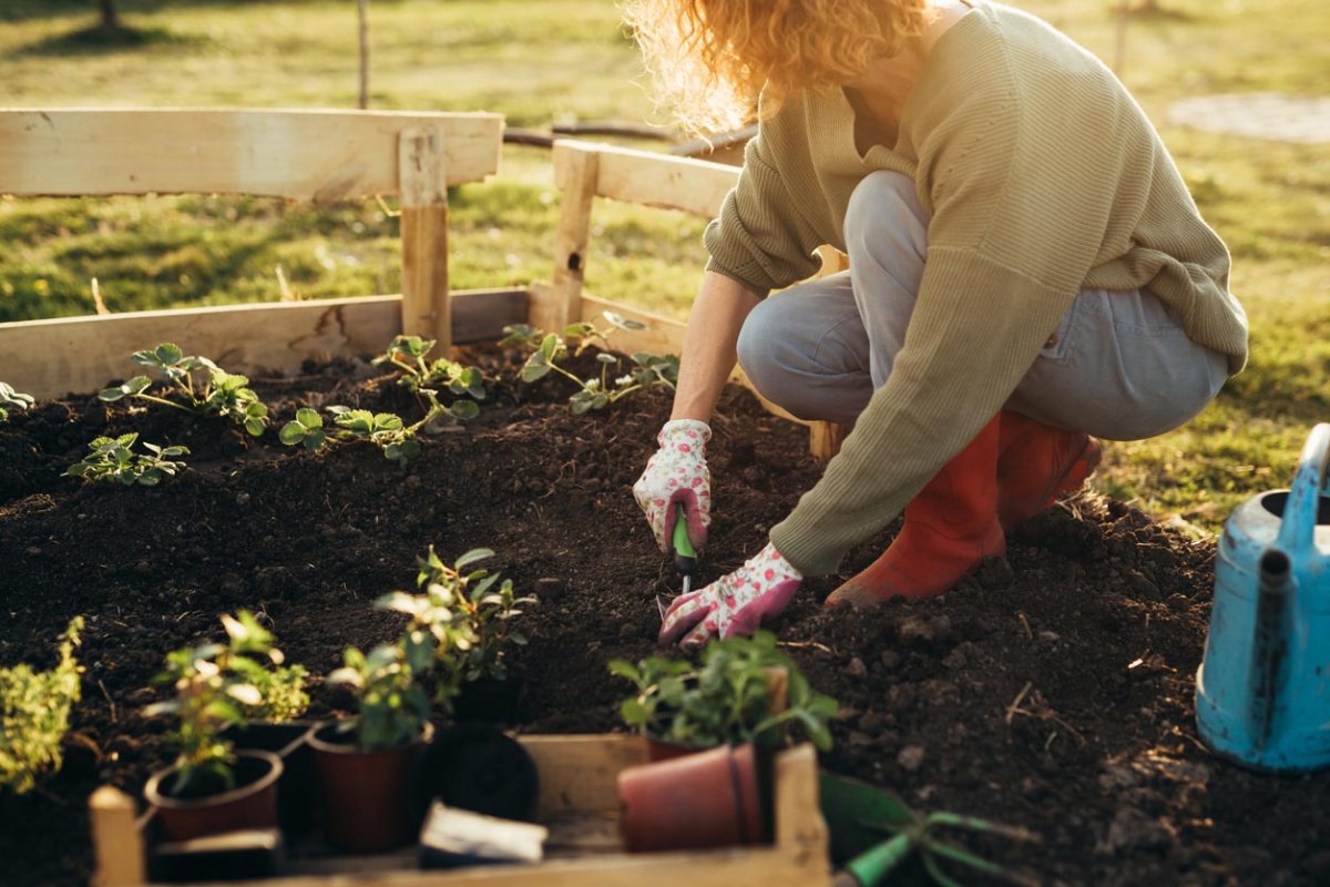 Une femme portant un pull beige fait du jardinage. 