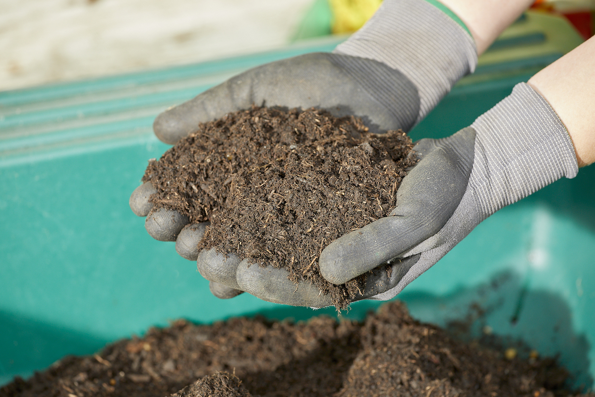 Woman wearing gardening gloves holds a handful of gardening soil over a green plastic container.