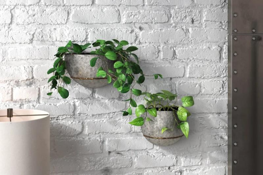 Deals Roundup 1:31 Option: Steelside Clarence 2-Piece Metal Wall Planter Set