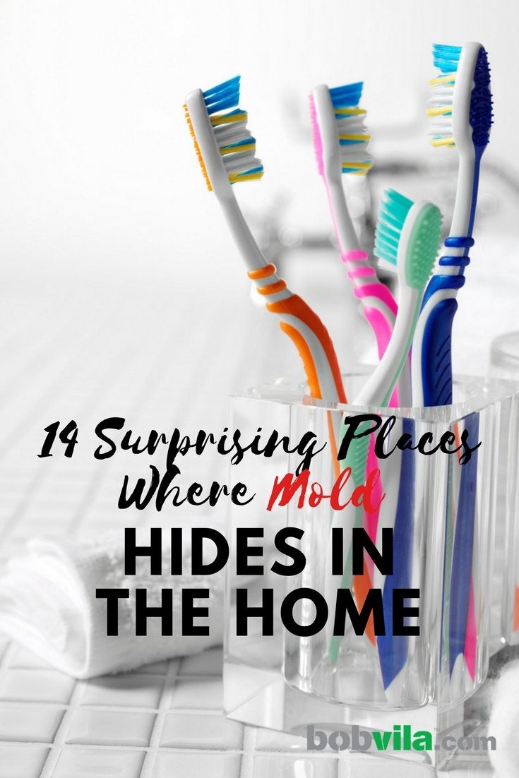 14 Surprising Places Where Mold Hides in the Home