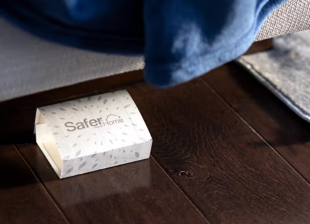 A sticky trap for clover mites placed under a sofa in a home living room.