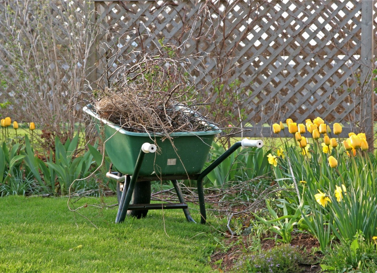 10 Ways to Make Your Garden More Bee-Friendly