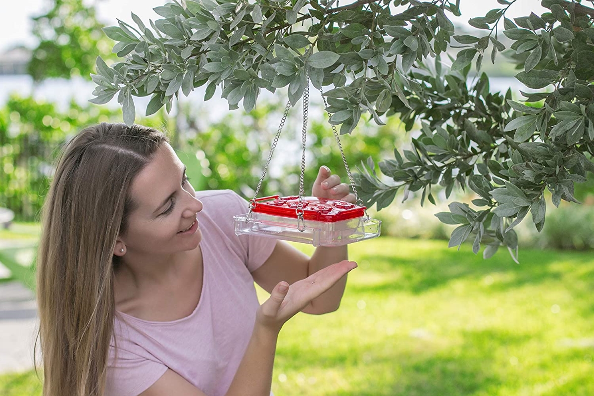 types of bird feeders - woman looking at bird tray