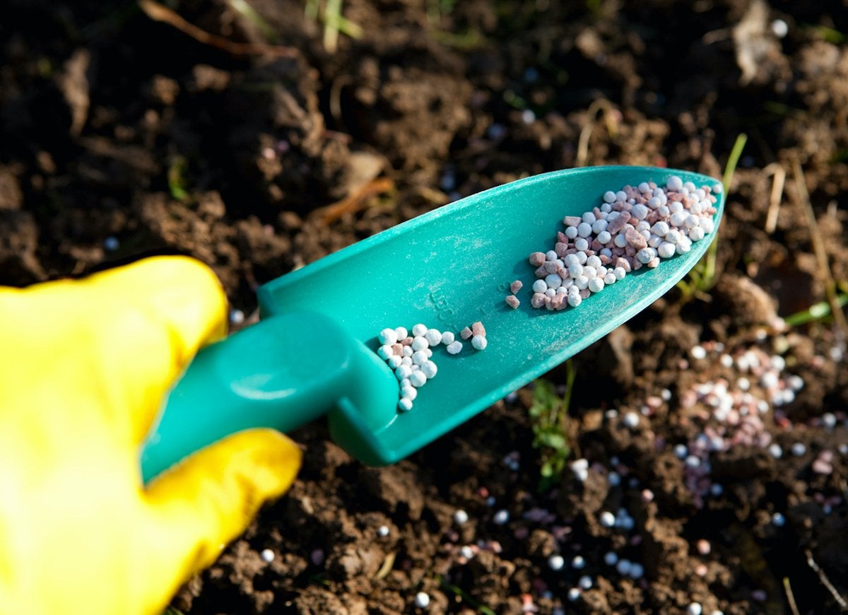 Over a Dozen Things You Didn’t Know You Could Clean in the Dishwasher