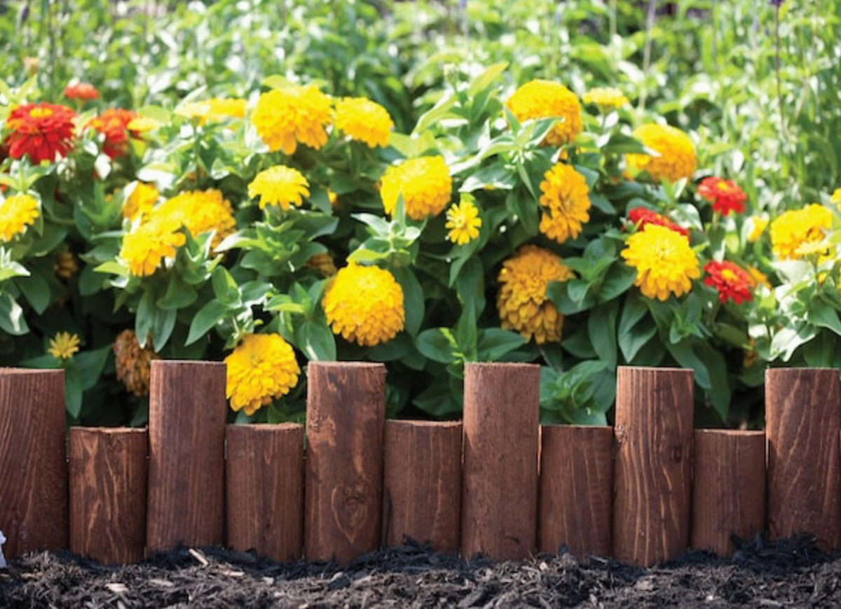 11 Garden Fence Ideas That Will Complement Any Landscape