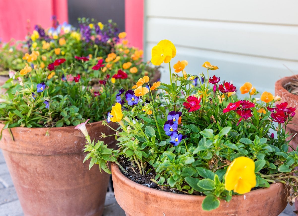 25 Ways to Beautify Your Yard Without Planting a Thing