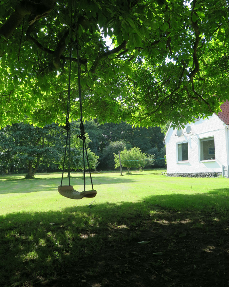 The Best Grass for Shade Spots in the Yard, Solved!