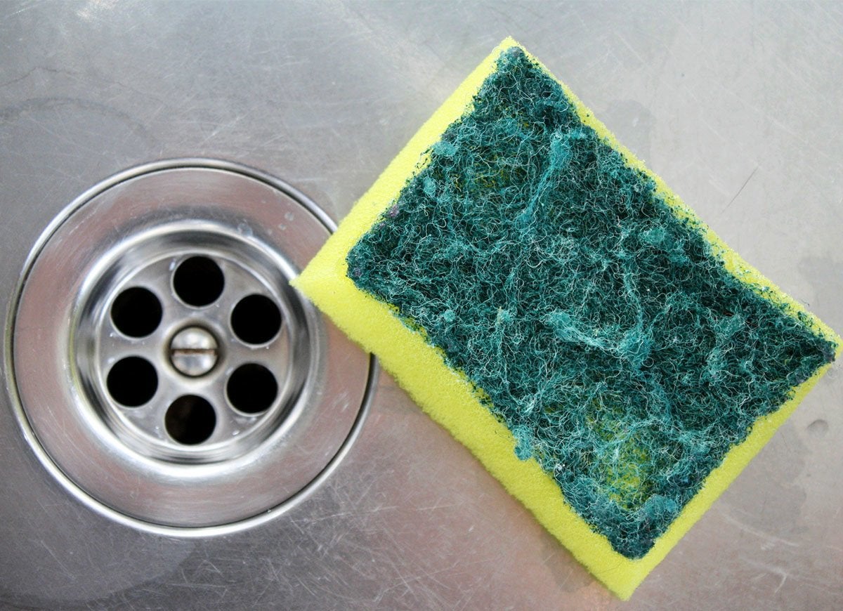 12 Places in Your Kitchen Where Mold Could Be Hiding