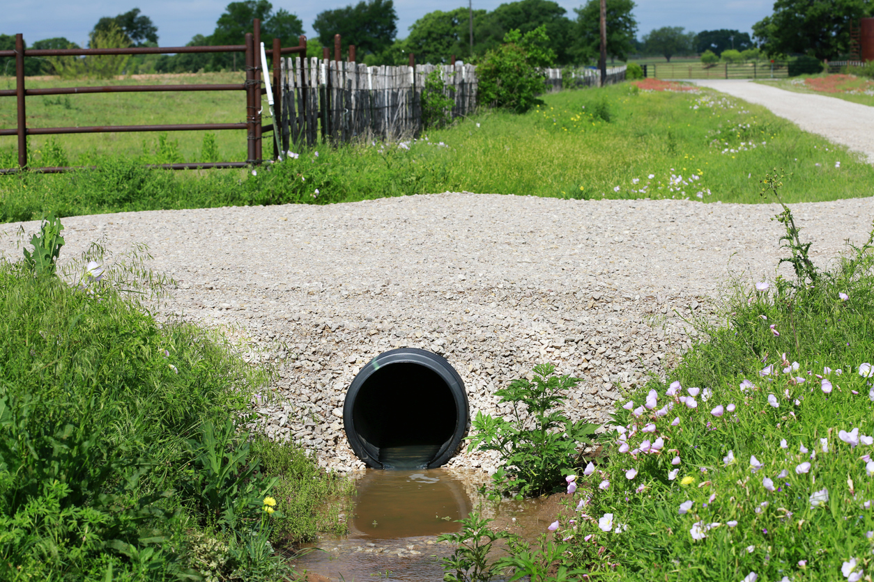 Système de drainage de ponceaux sous un chemin de gravier avec de l'herbe et des fleurs sauvages.