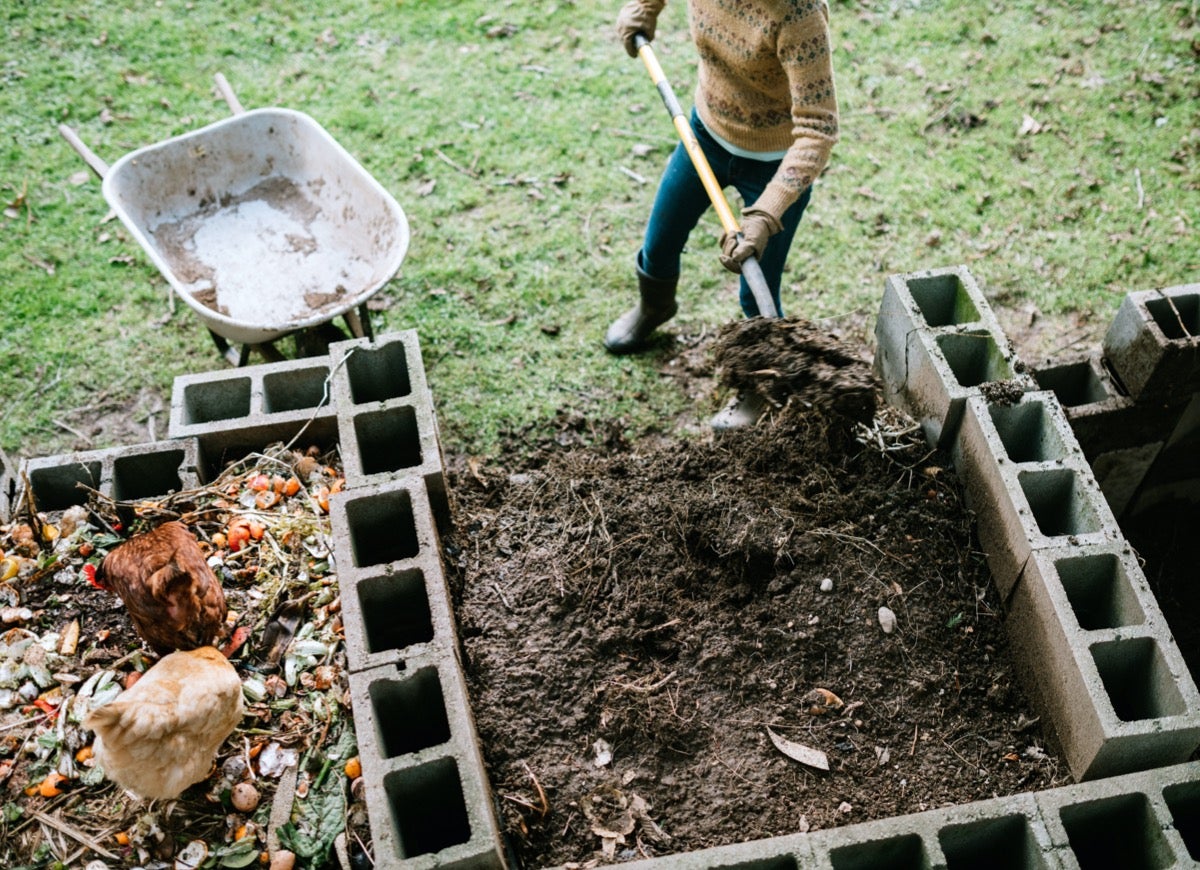 8 astuces pour composter rapidement et obtenir de l'engrais gratuit