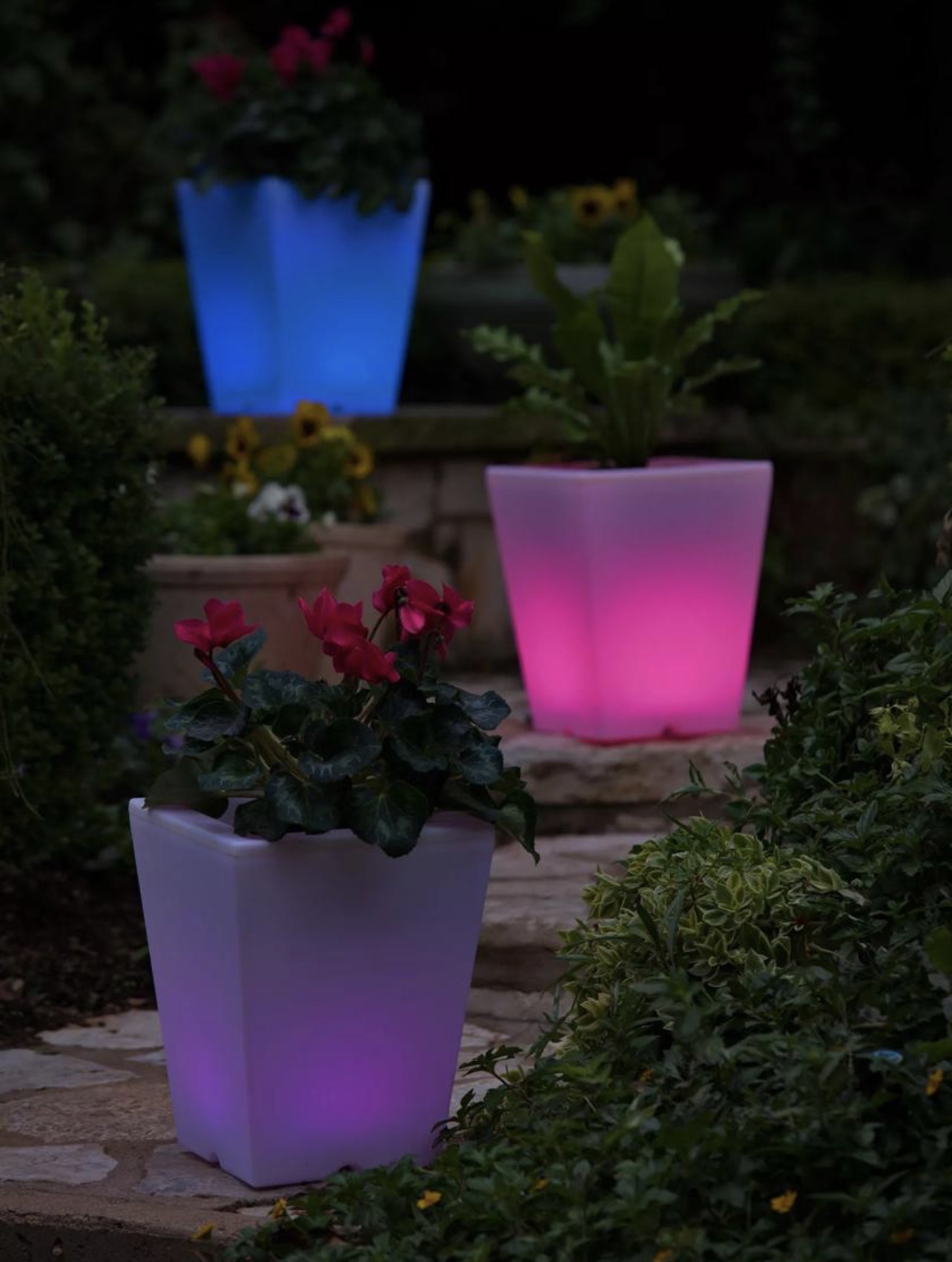 night view of terraced stone landscaping with planters lit up in different colors in garden