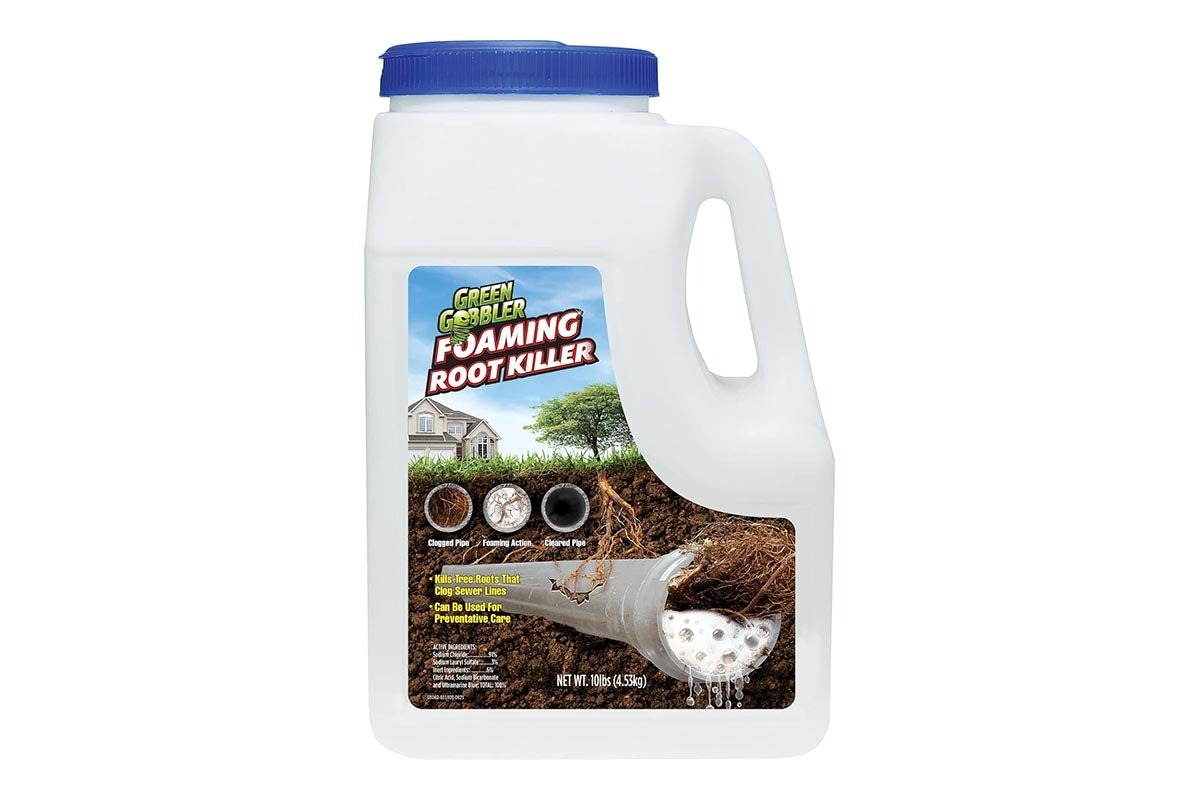 Les produits que nos lecteurs ont achetés en janvier Option Green Gobbler Foaming Root Killer