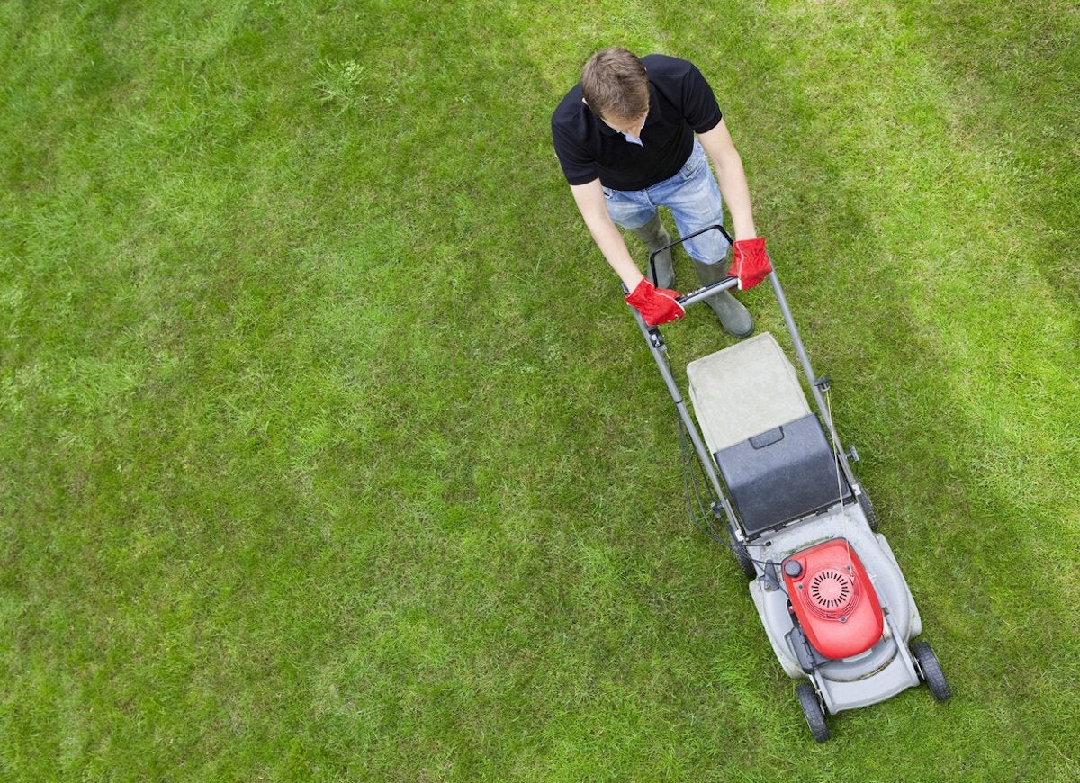 The Best Things You Can Do for Your Lawn