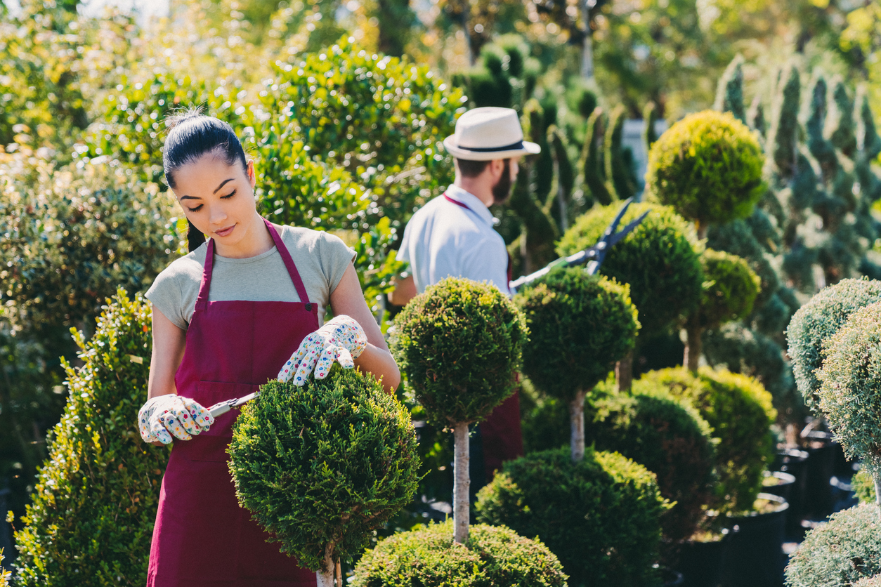 How to Grow a Landscaping Business