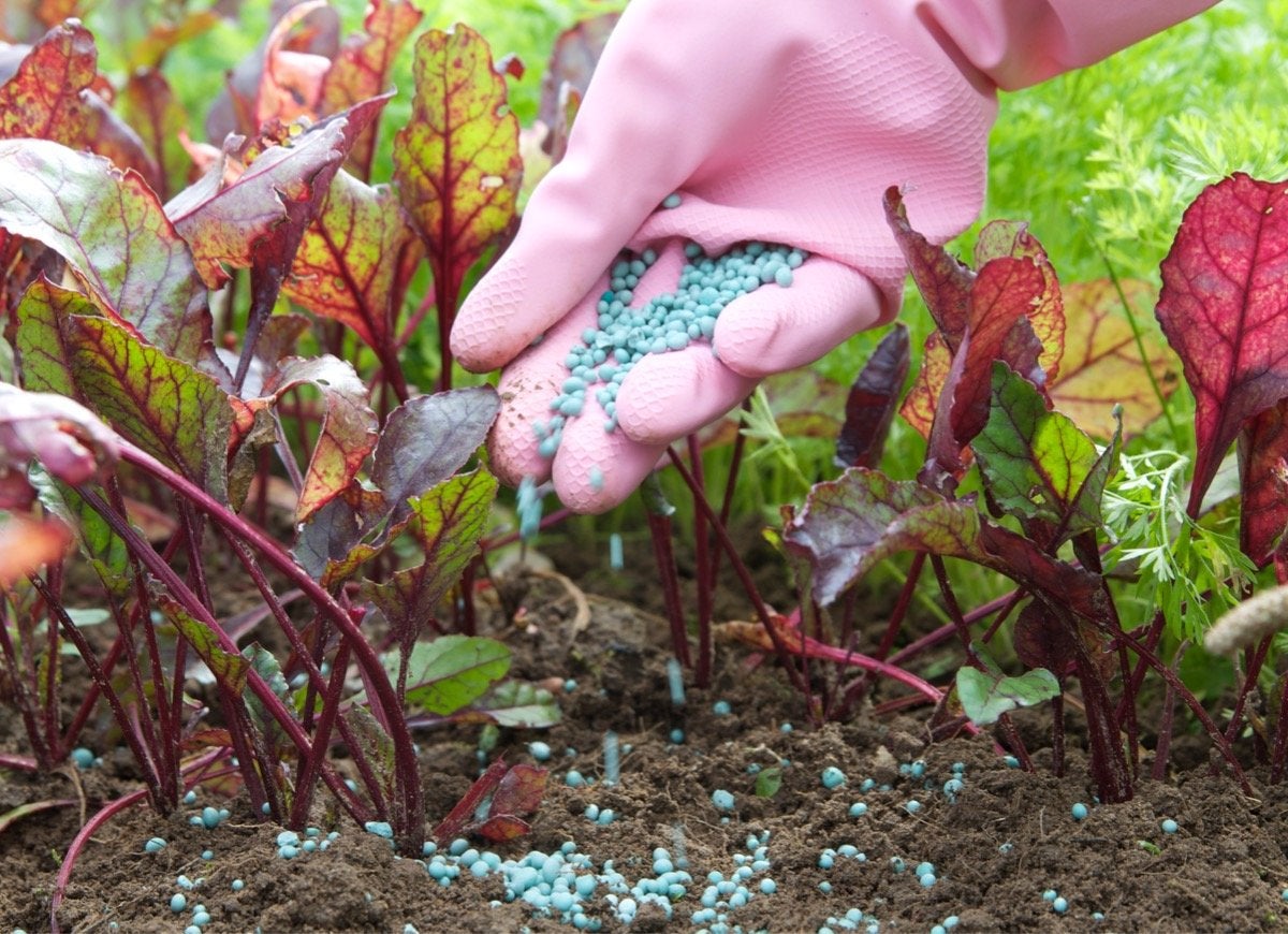 9 Mistakes You’re Making That Are Damaging Your Soil