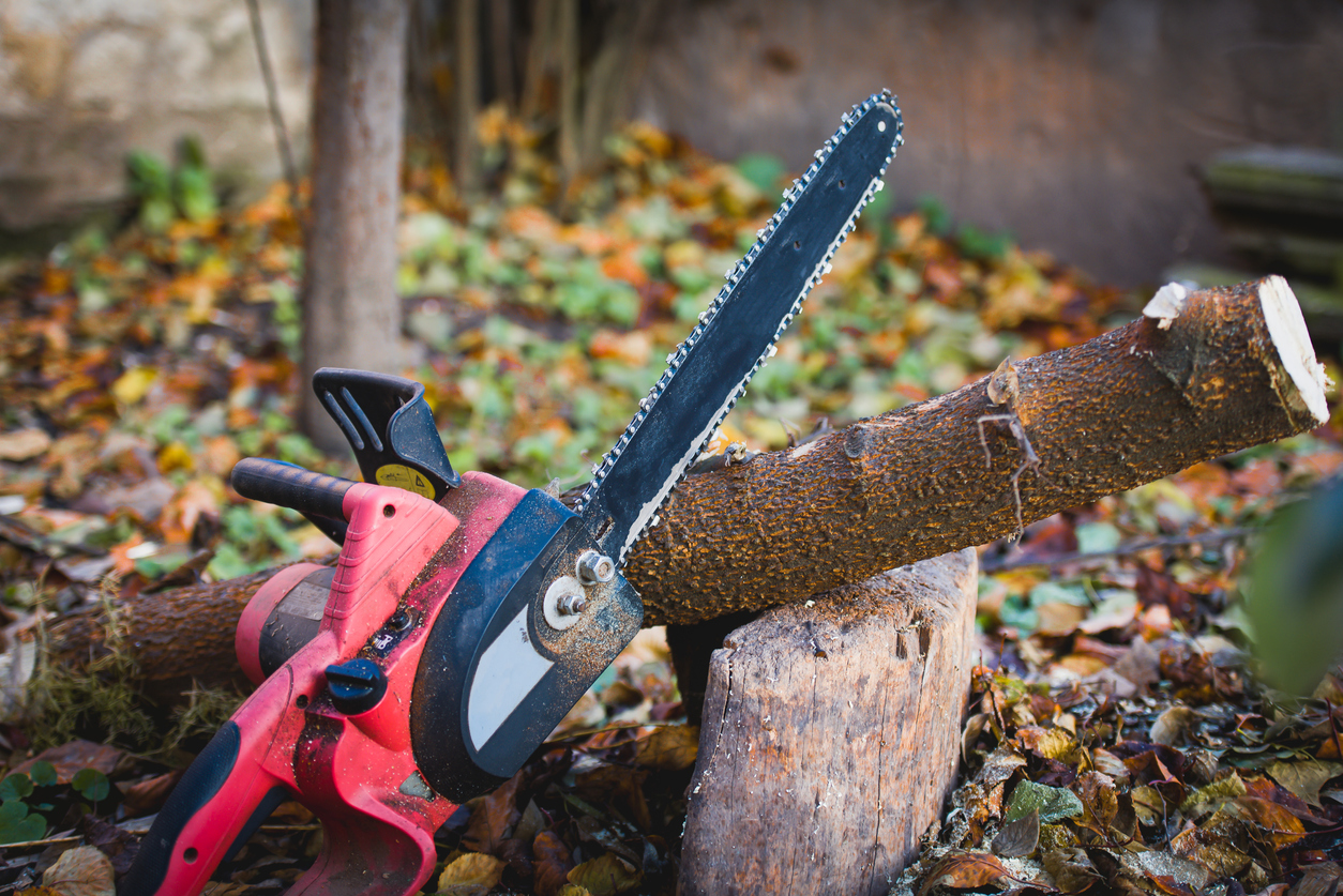 Chainsaw in garden