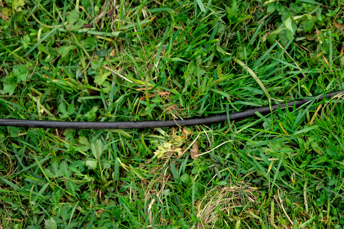 A black lawn mower cable is lying on grass.