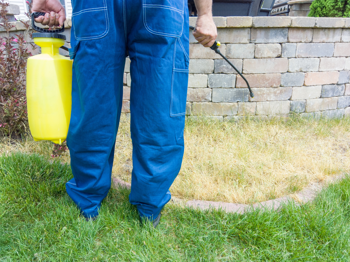 Gardener spraying grass for liquid aeration