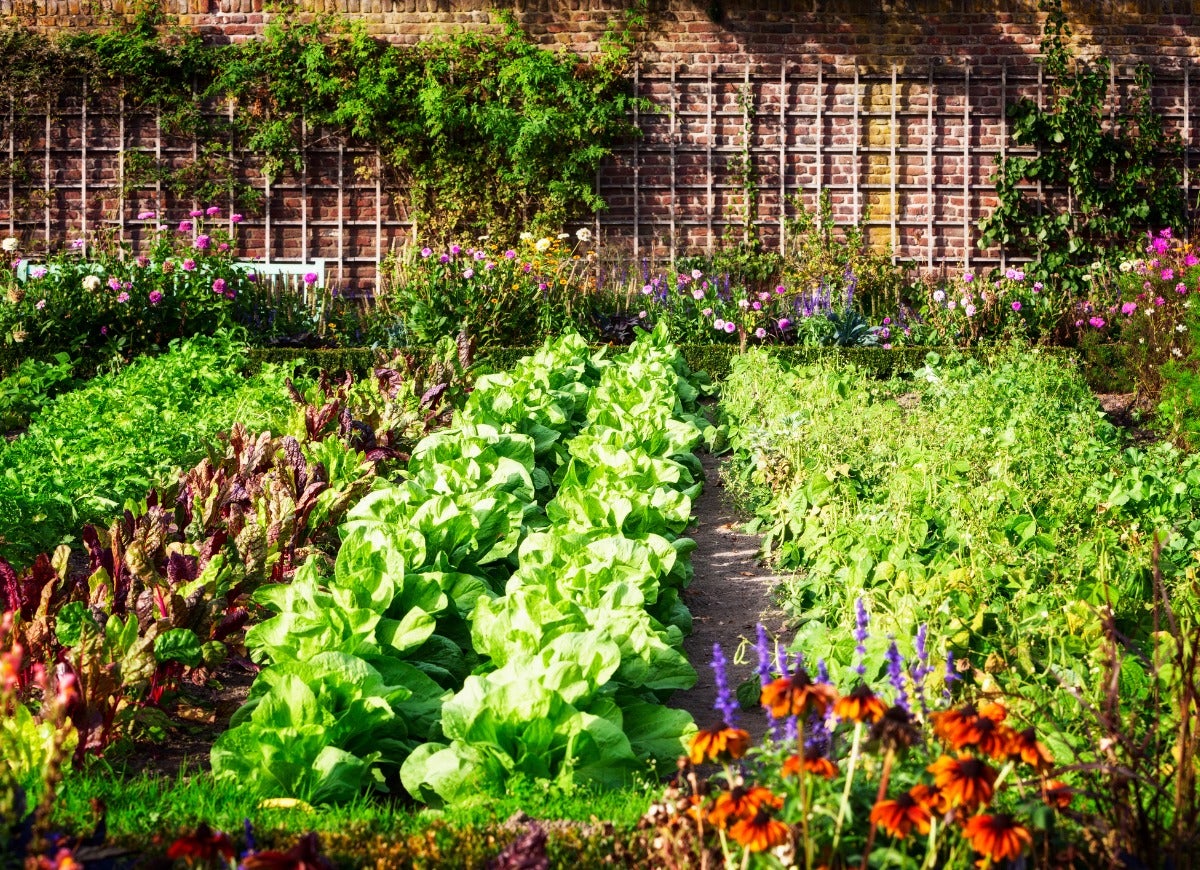 13 Ideas for a Vegetable Garden With Serious Curb Appeal