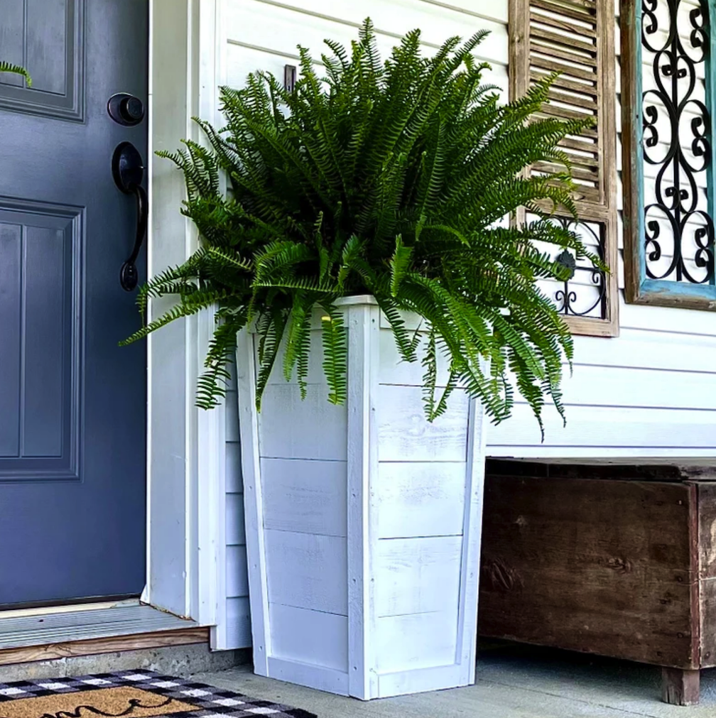 jardinière en bois peint blanc avec plante verte luxuriante sur le porche d'une maison blanche avec porte d'entrée bleue