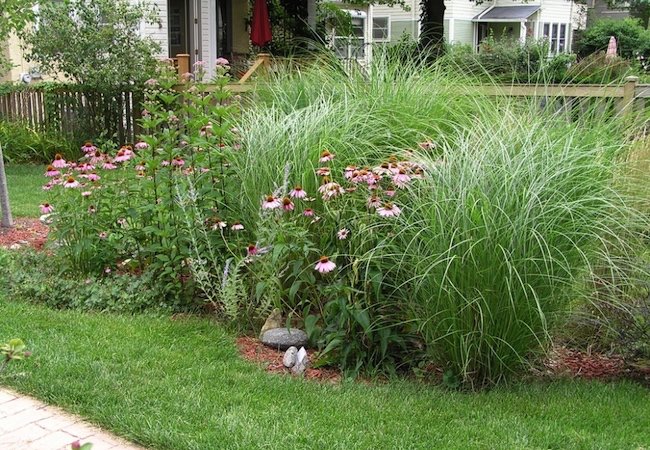 Rain Gardens