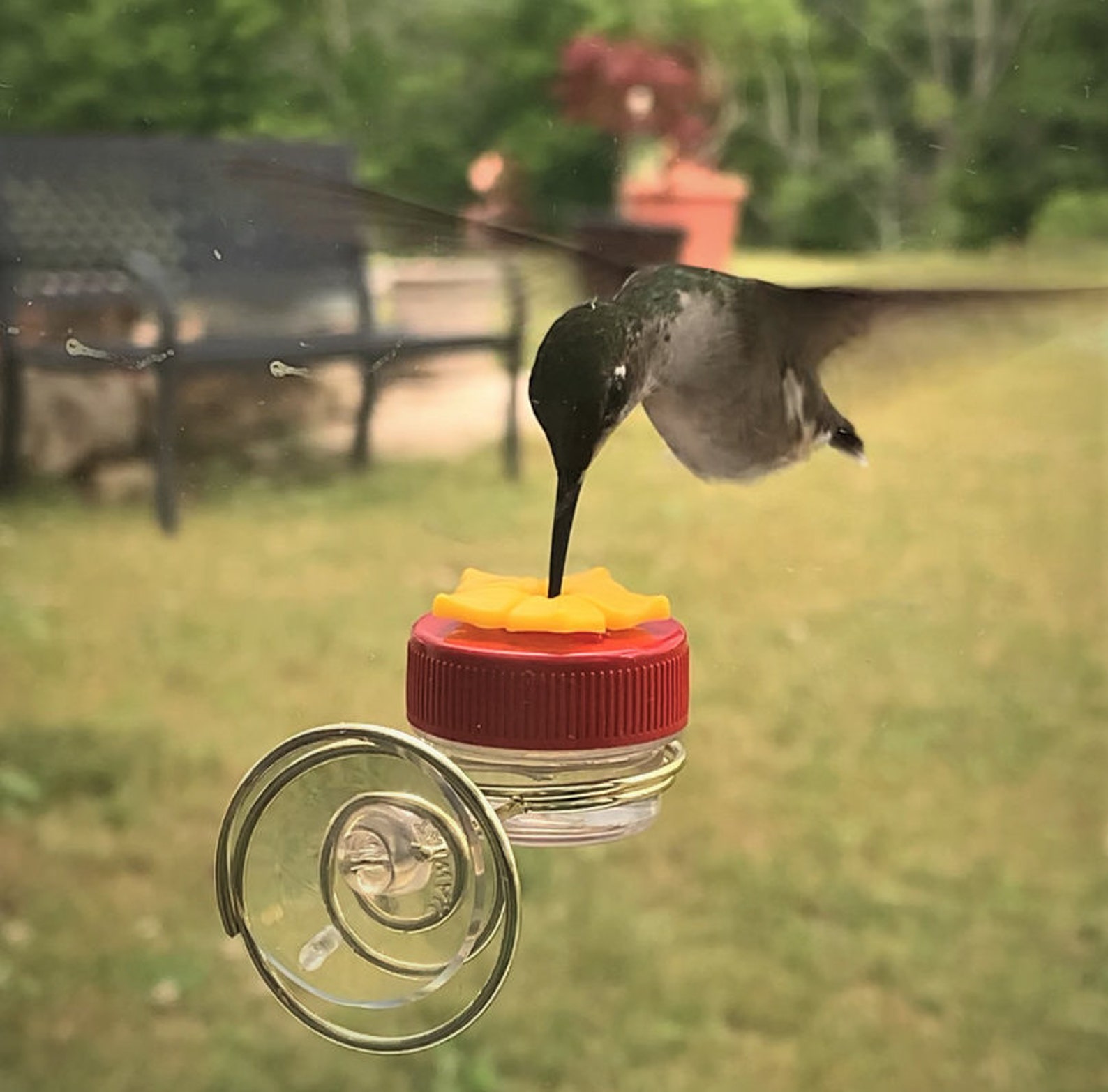 how to keep bees away from hummingbird feeders