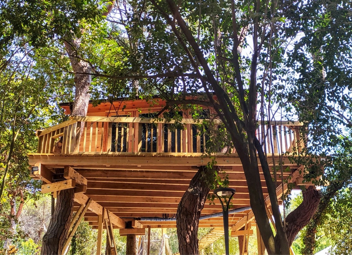 12 Unique Treehouse Ideas for Your Backyard