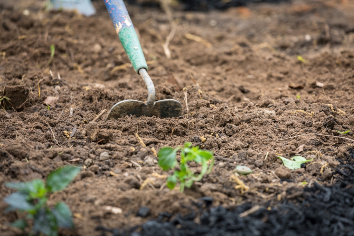 Soil being tilled