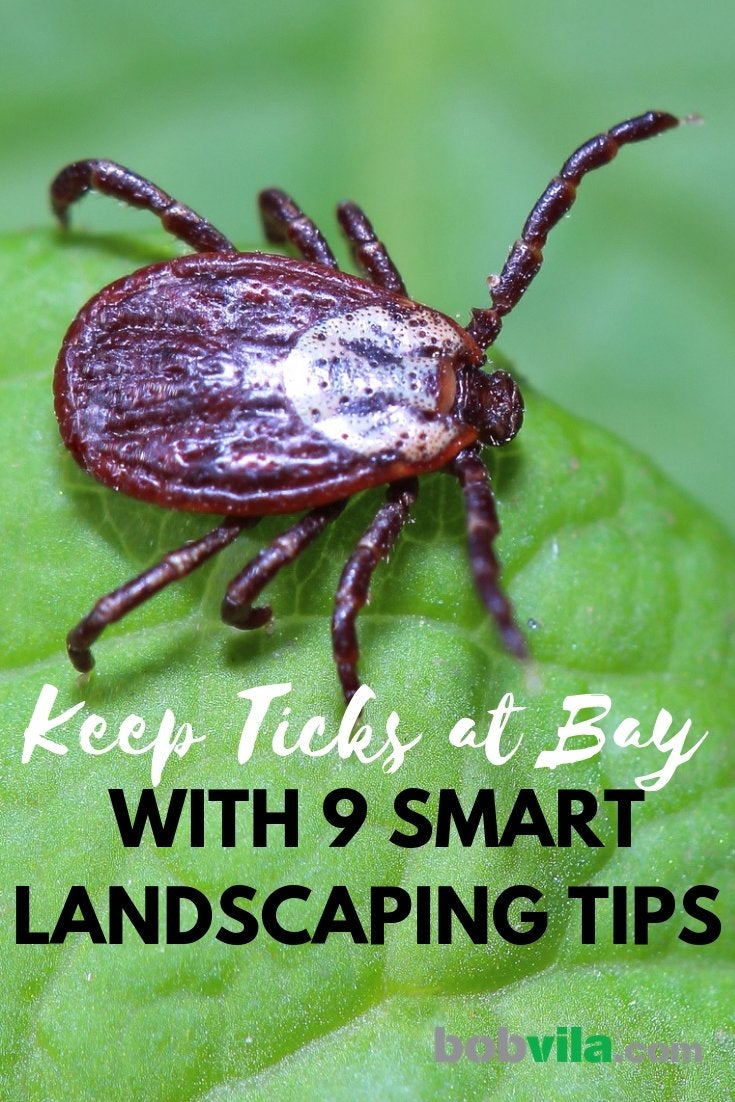 Keep Ticks at Bay with 9 Smart Landscaping Tips