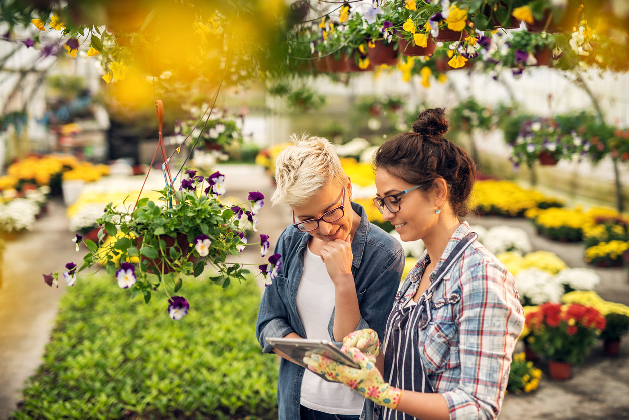 How to Grow a Landscaping Business