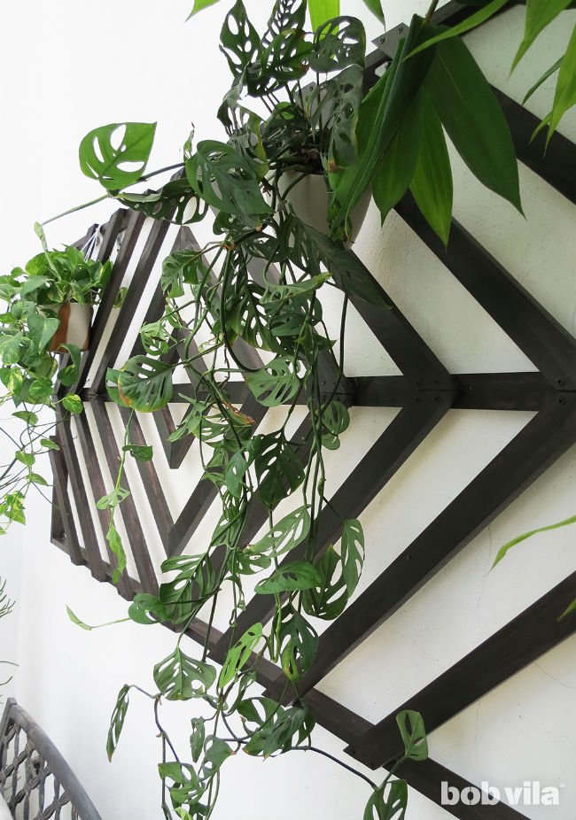 How to Make a Wall Trellis