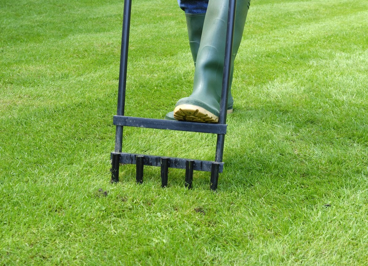 7 Things Your Lawn May Be Trying to Tell You