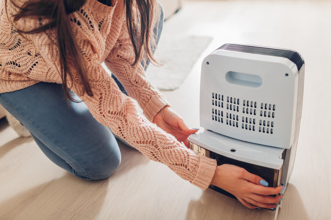 iStock-1078226718 appliance maintenance cleaning dehumidifier