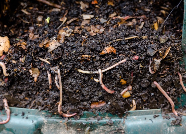 composting 101