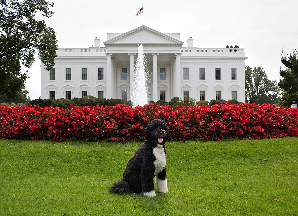 21 Crazy But True Facts About the White House