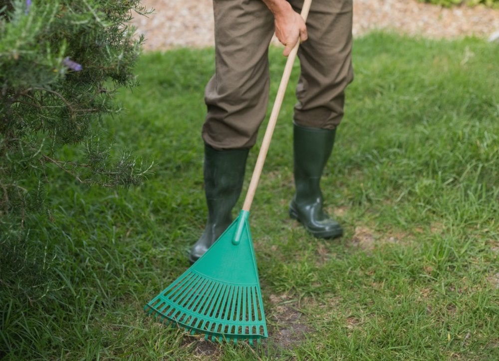 10 Remedies to Rescue a Dying Lawn