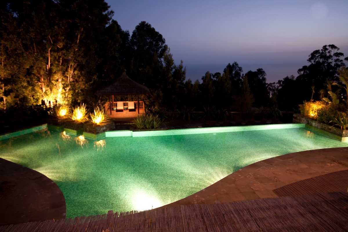 Pool with in-water lights and lighting in surrounding landscaping.