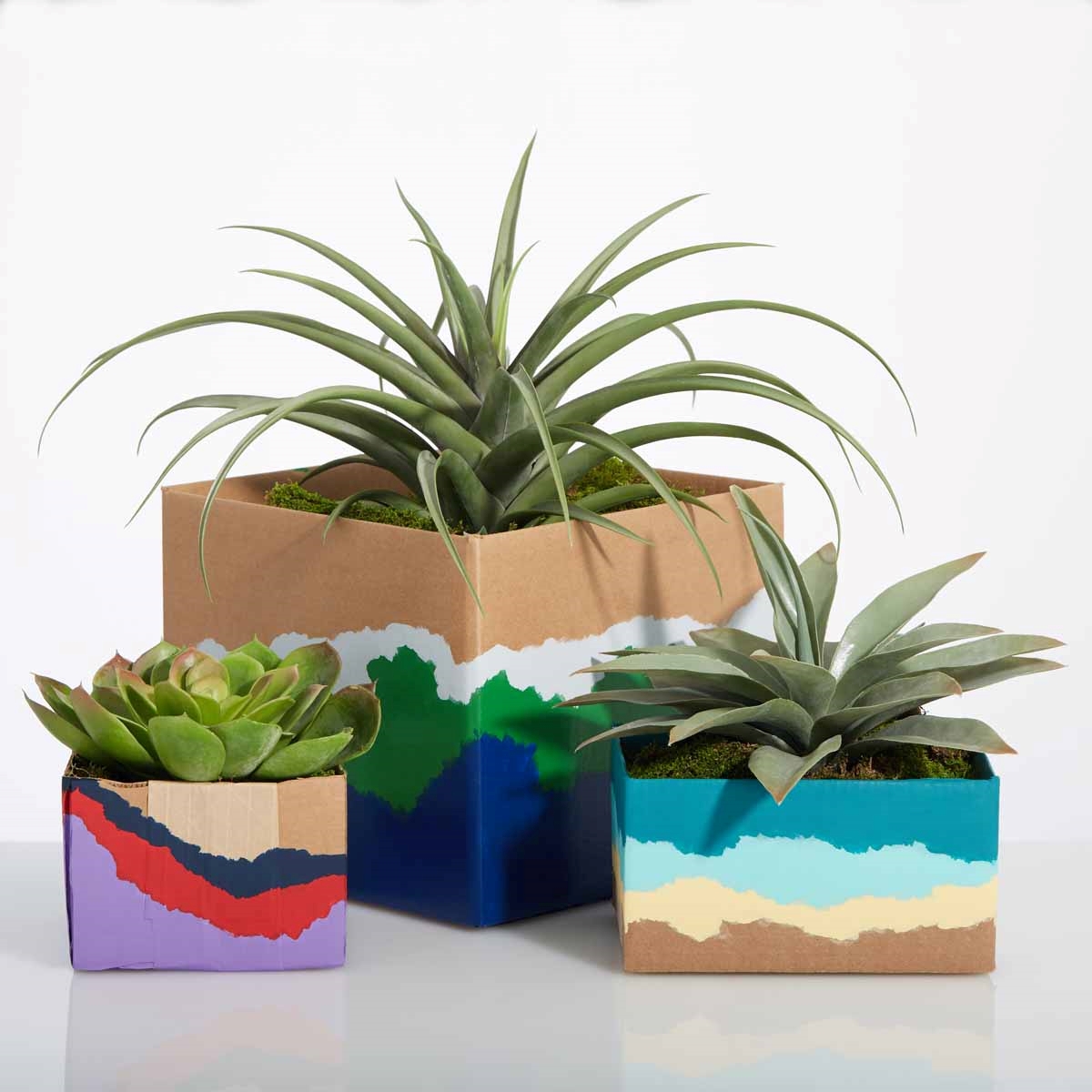 Cardboard planters.