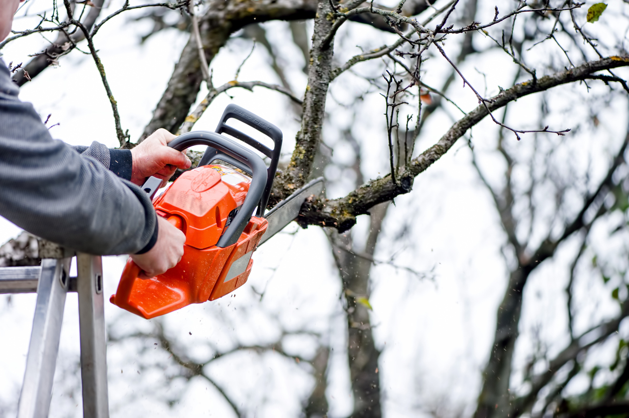 Make One Phone Call a Month to Keep Your Home in Top Shape