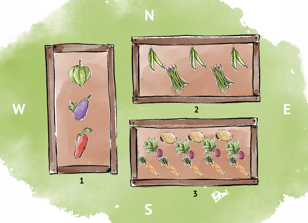 An illustration of three raised vegetable garden bed layouts.