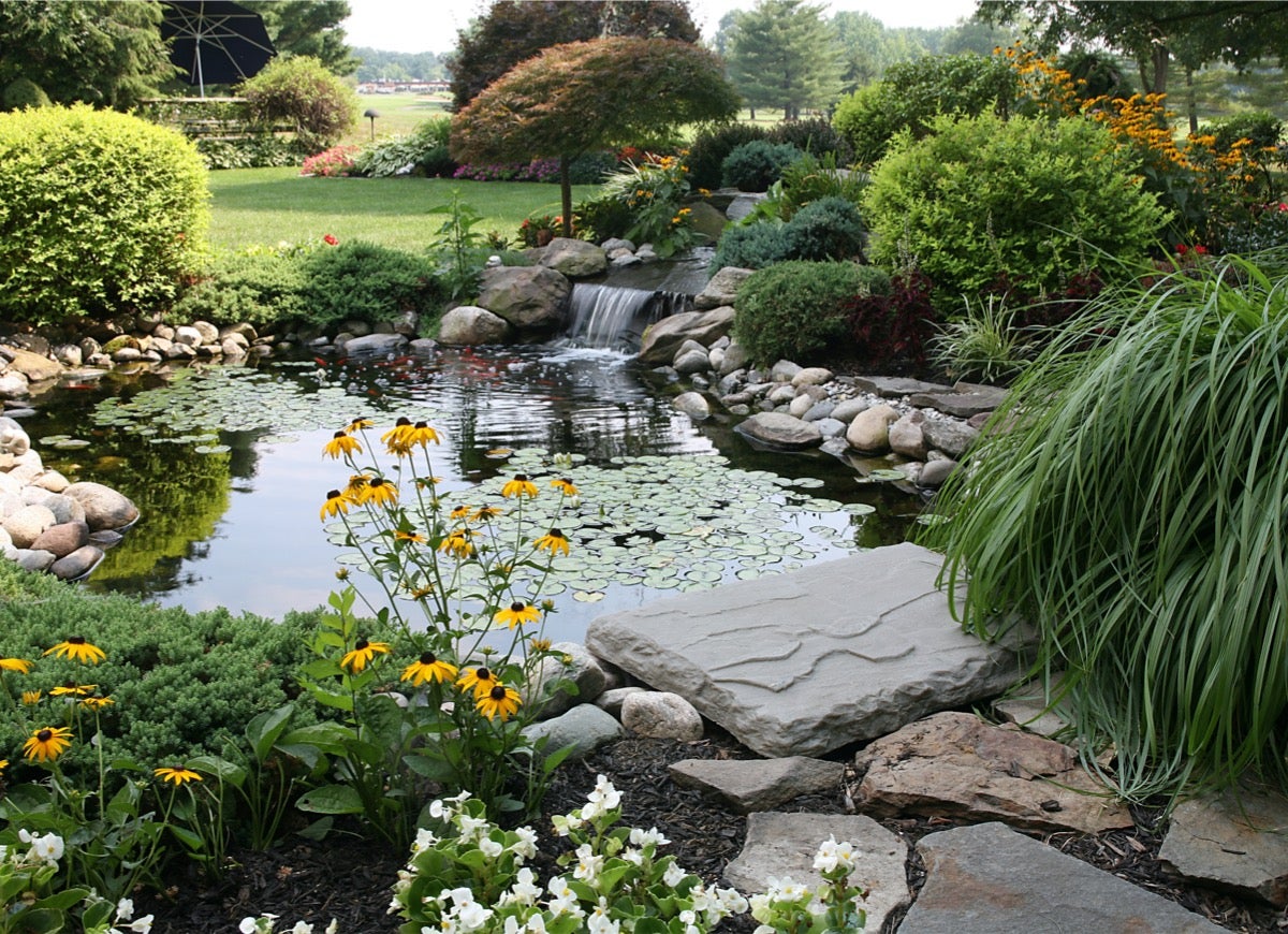 9 Relaxing Pond Waterfall Ideas for Your Backyard